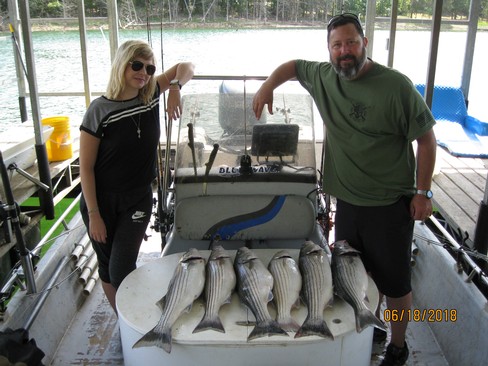 Nice Striped Bass